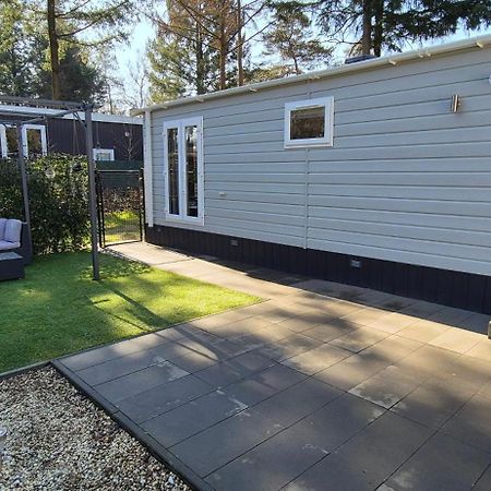 Het Veluwse Boshuisje Knus Chalet Met Omheinde Tuin Op De Veluwe ホンデルロー エクステリア 写真