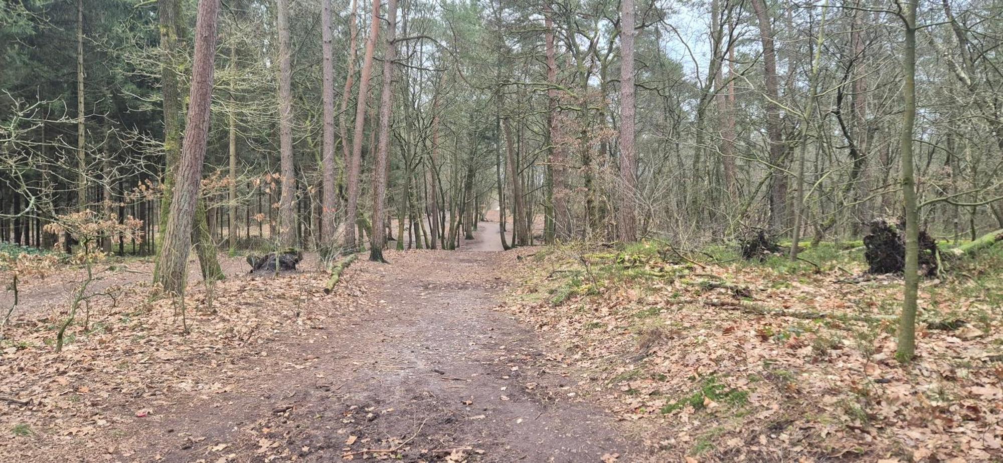 Het Veluwse Boshuisje Knus Chalet Met Omheinde Tuin Op De Veluwe ホンデルロー エクステリア 写真