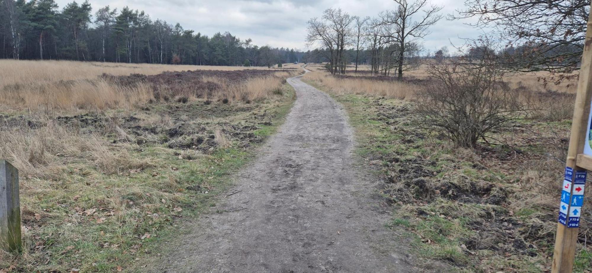 Het Veluwse Boshuisje Knus Chalet Met Omheinde Tuin Op De Veluwe ホンデルロー エクステリア 写真