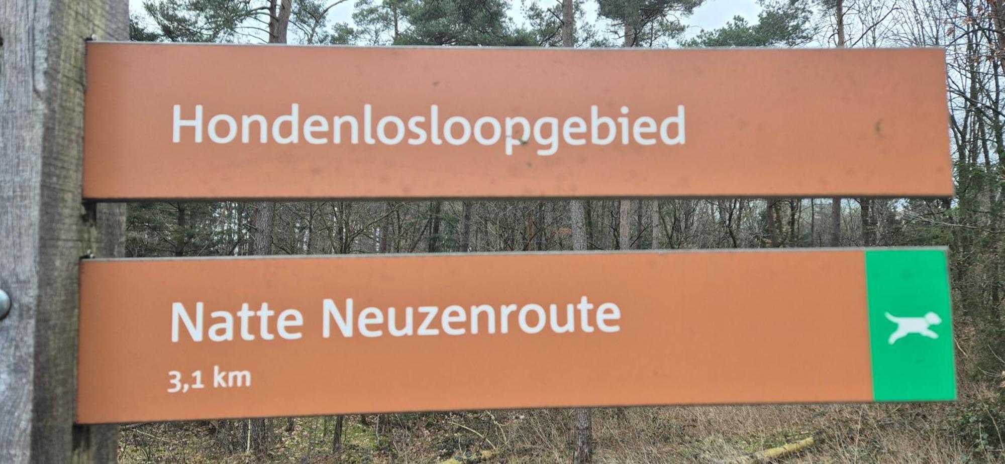 Het Veluwse Boshuisje Knus Chalet Met Omheinde Tuin Op De Veluwe ホンデルロー エクステリア 写真
