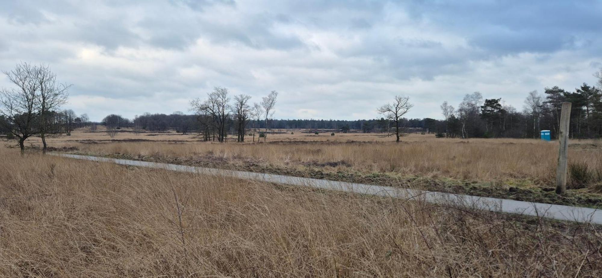 Het Veluwse Boshuisje Knus Chalet Met Omheinde Tuin Op De Veluwe ホンデルロー エクステリア 写真